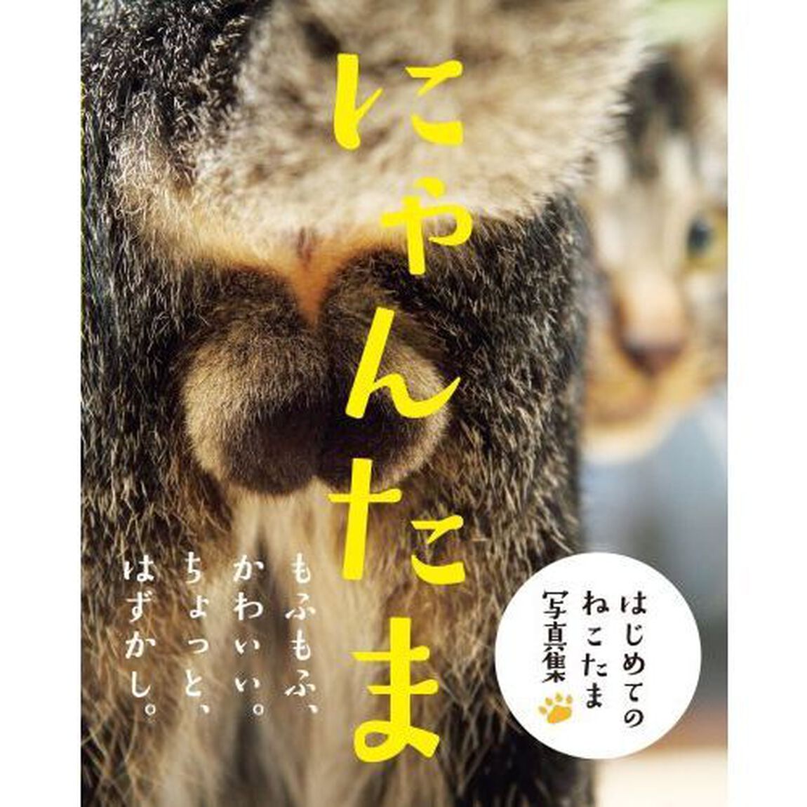 にゃんたま