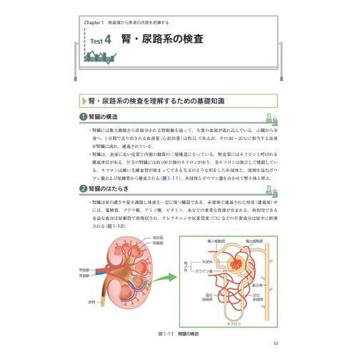 薬立つ検査値　基礎と実践力が身に付く臨床検査の教科書