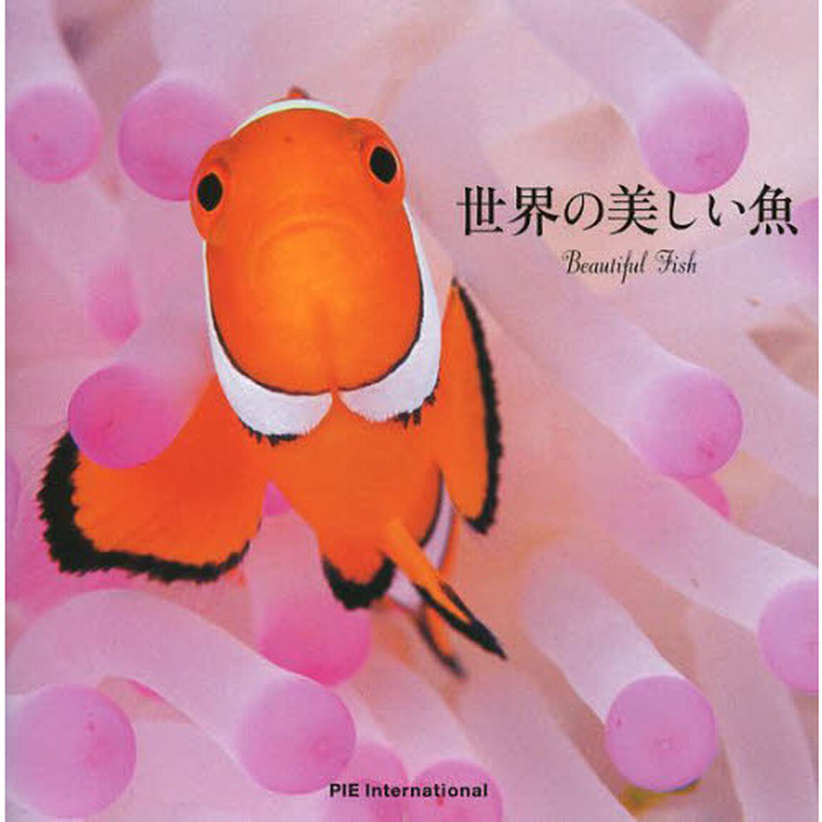 世界の美しい魚