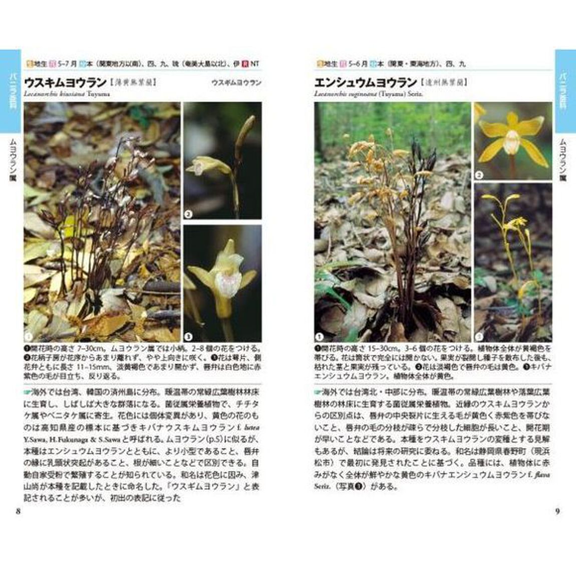 日本のランハンドブック　１「低地・低山編」