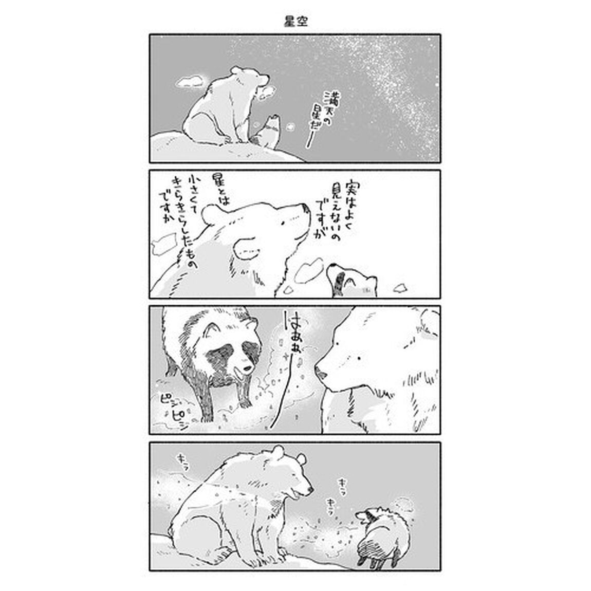 クマとたぬき