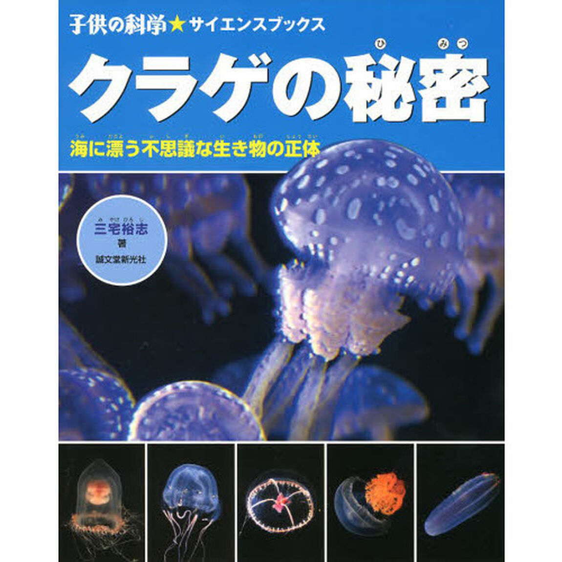 クラゲの秘密　海に漂う不思議な生き物の正体