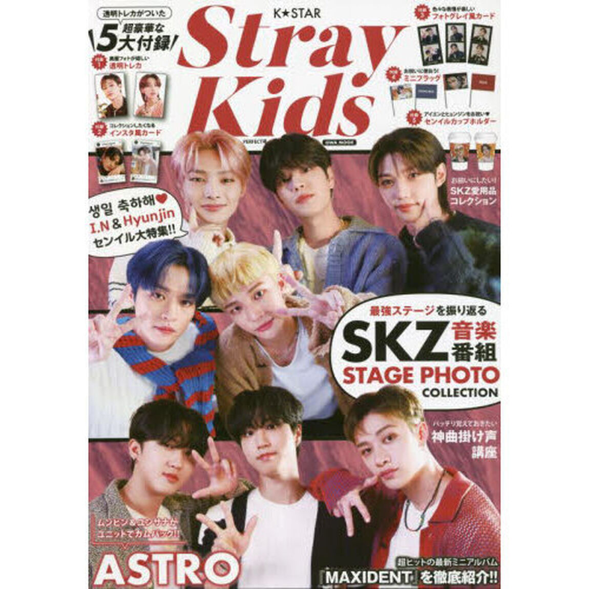 Ｋ★ＳＴＡＲ　Ｓｔｒａｙ　Ｋｉｄｓ　ＰＥＲＦＥＣＴ号