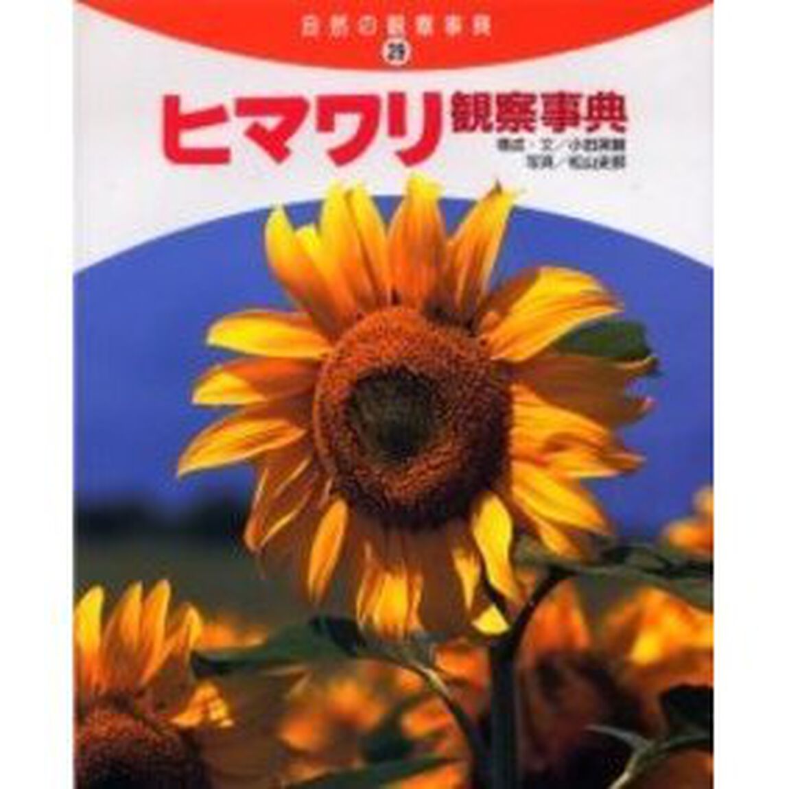 ヒマワリ観察事典
