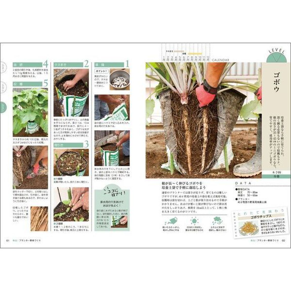 農家の加藤さんが教えるおいしいプランター野菜づくり
