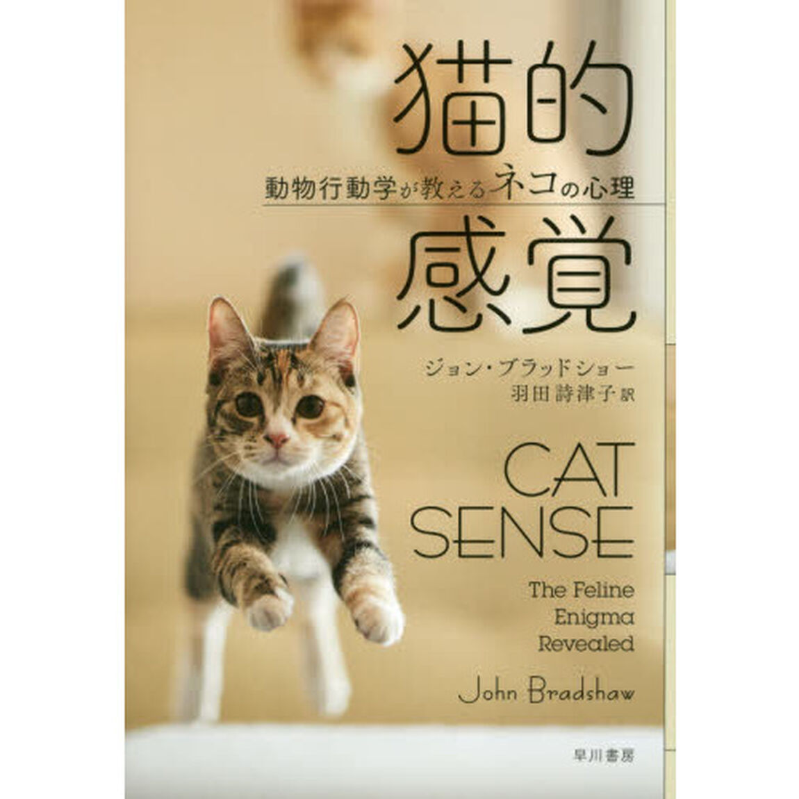 猫的感覚　動物行動学が教えるネコの心理