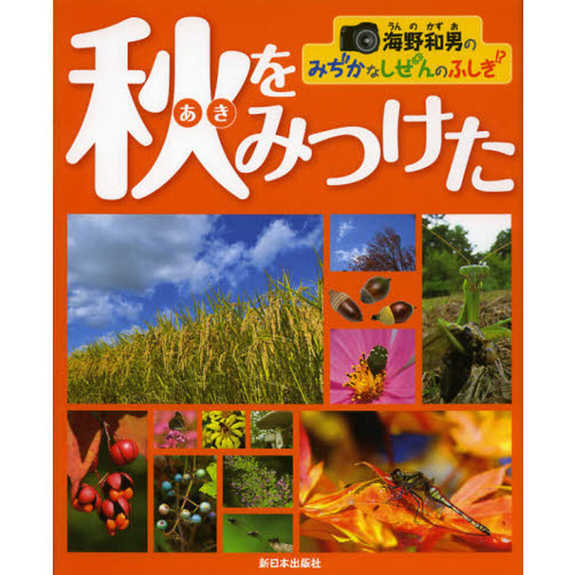 秋をみつけた