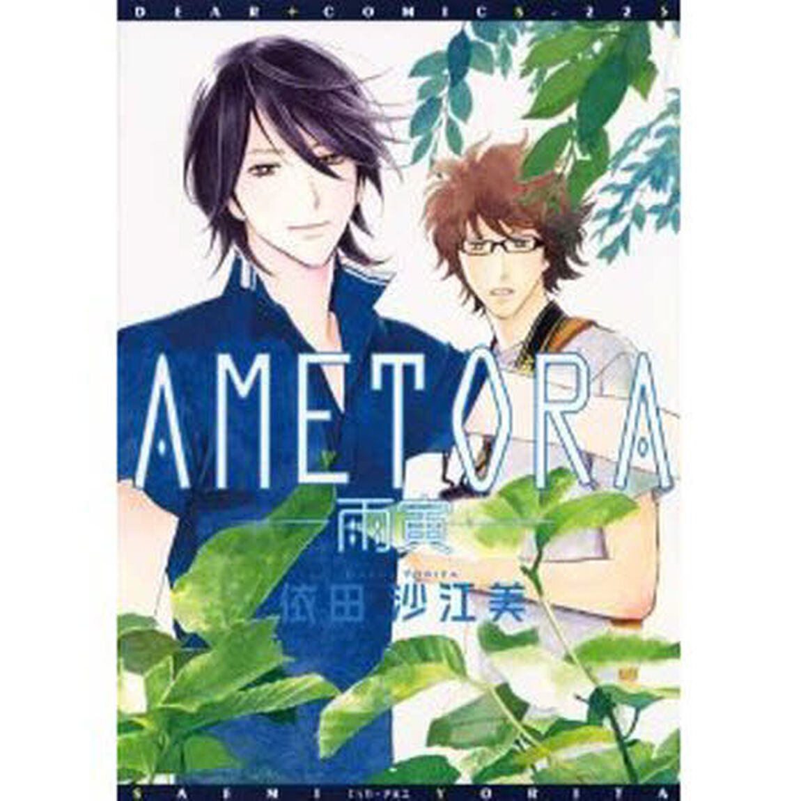 ＡＭＥＴＯＲＡ－雨寅－