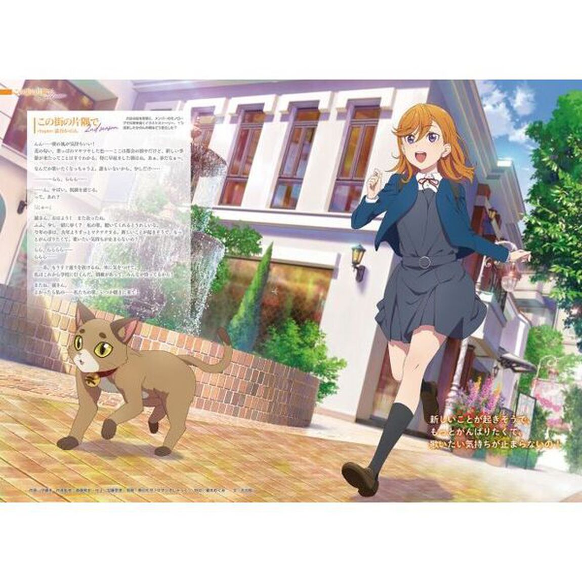 ラブライブ！スーパースター！！ＴＨＩＲＤ　ＦＡＮ　ＢＯＯＫ