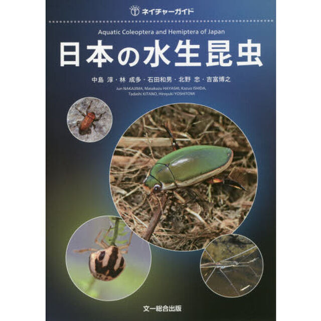 日本の水生昆虫