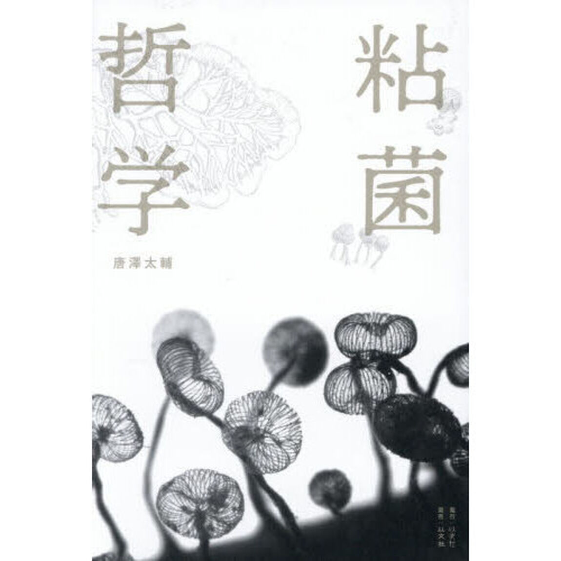 粘菌哲学