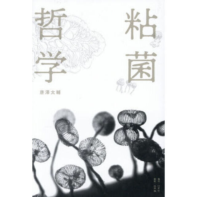粘菌哲学