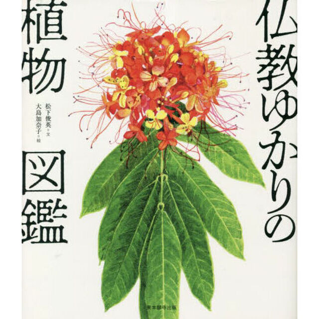 仏教ゆかりの植物図鑑