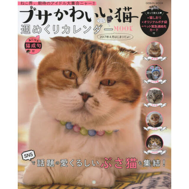 ブサかわいい猫週めくりカレンダーＭＯＯＫ