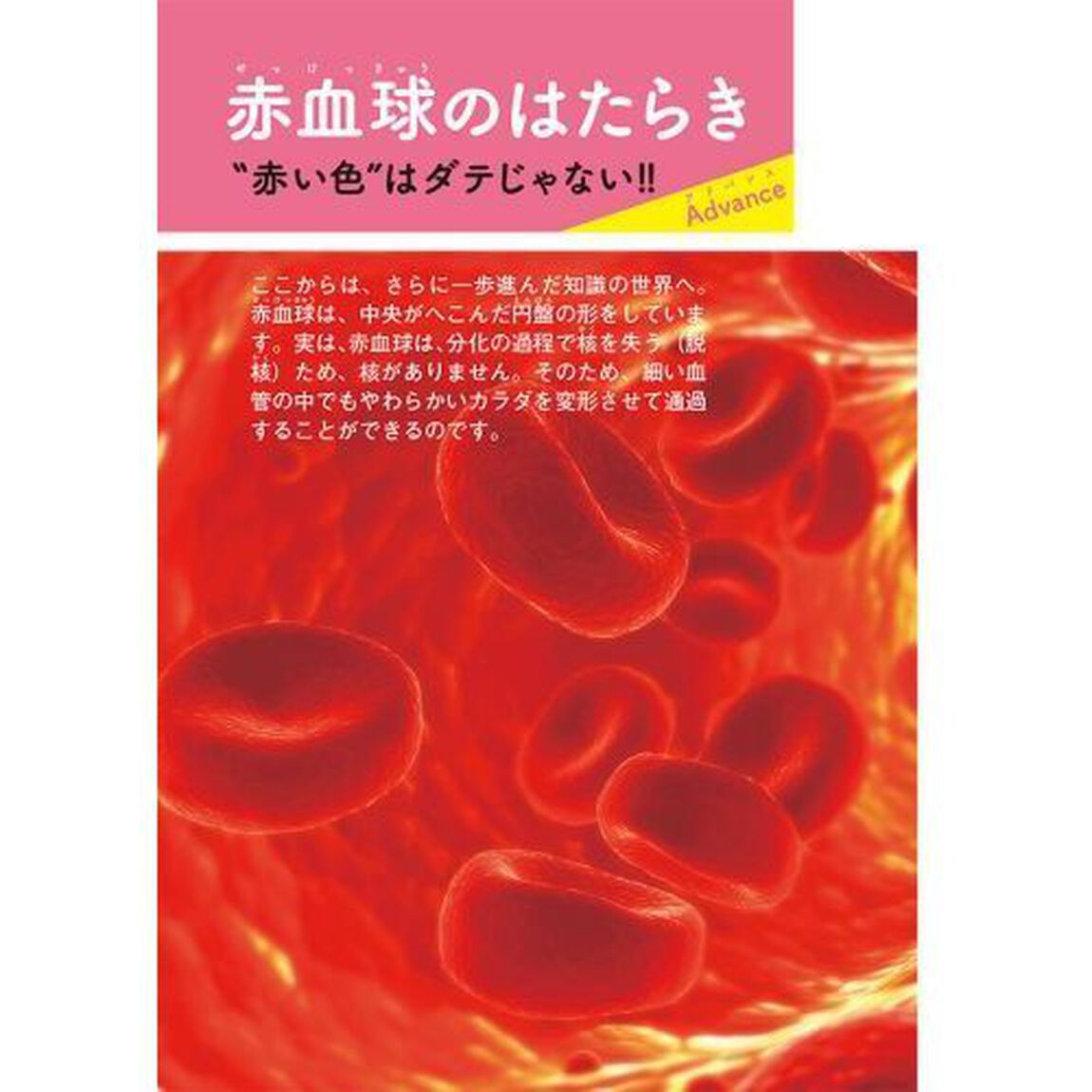 よくわかる！「はたらく細胞」細胞の教科書