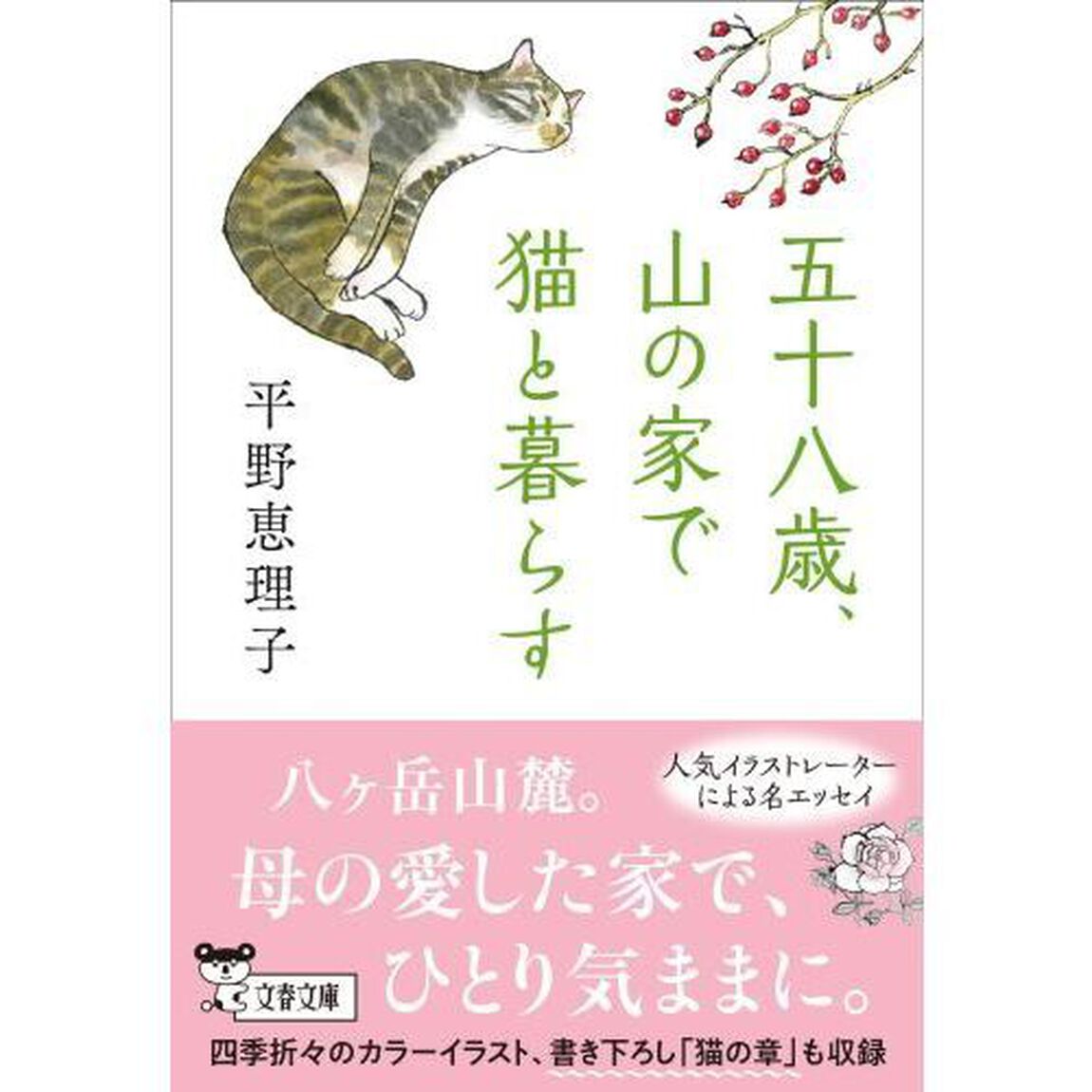 五十八歳、山の家で猫と暮らす