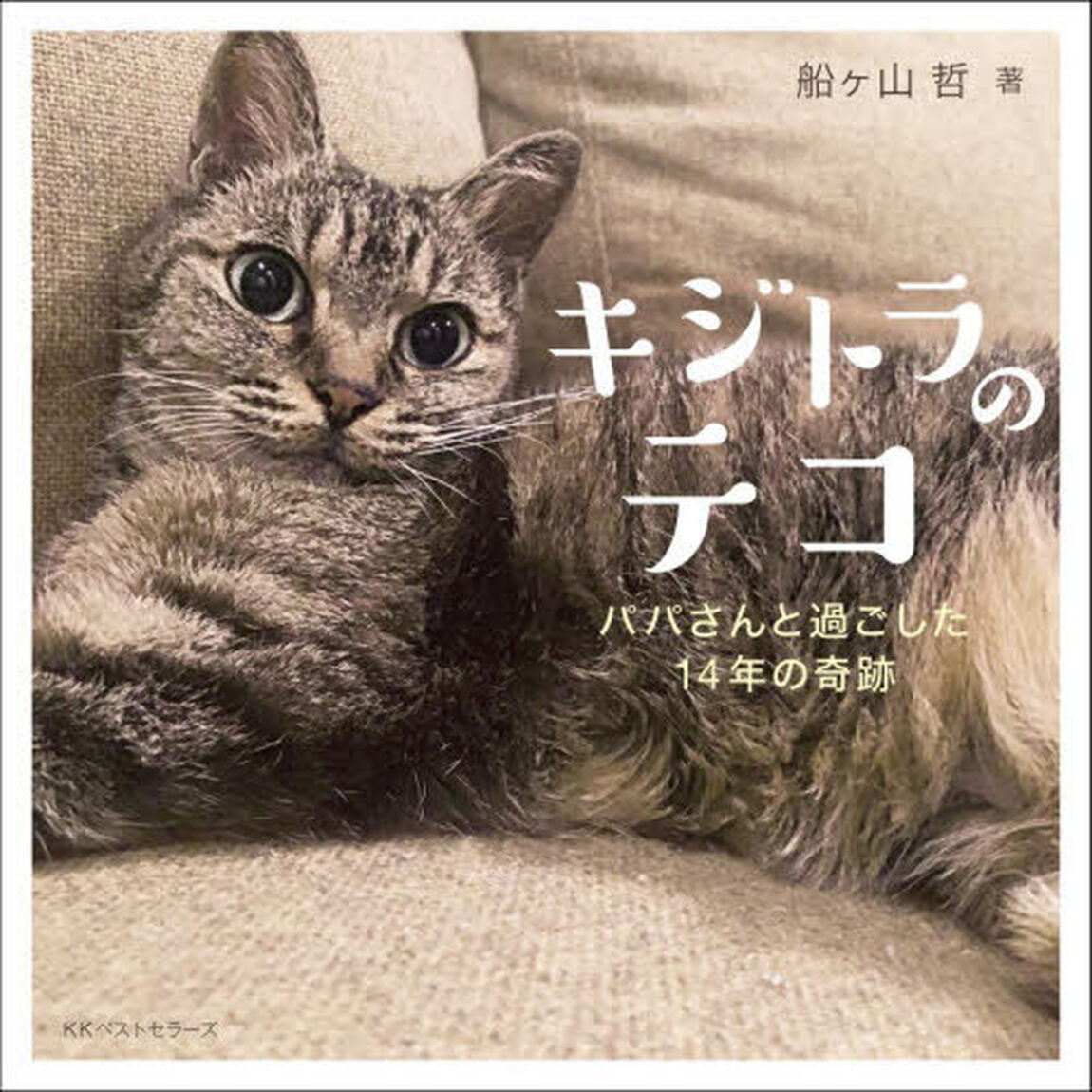 キジトラのテコ パパと過ごした14年の奇跡