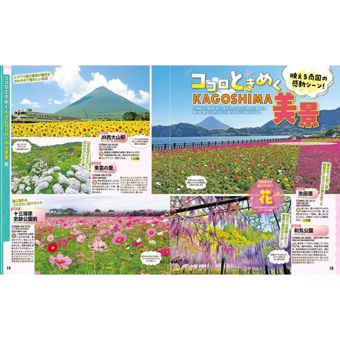 るるぶ鹿児島 指宿 霧島 桜島'26