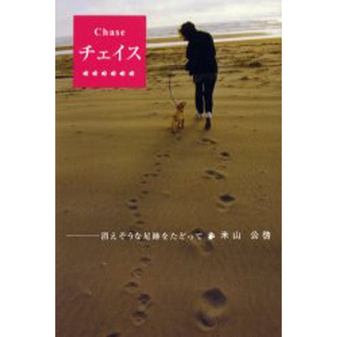 チェイス　消えそうな足跡をたどって