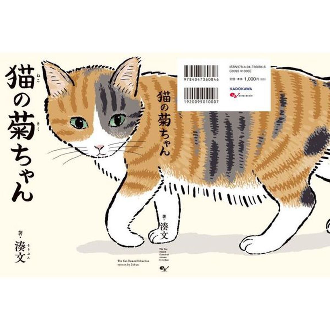 猫の菊ちゃん