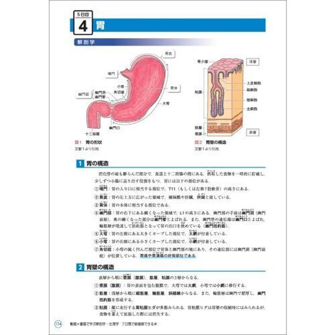 動画&times;書籍で学ぶ解剖学・生理学７日間で総復習できる本