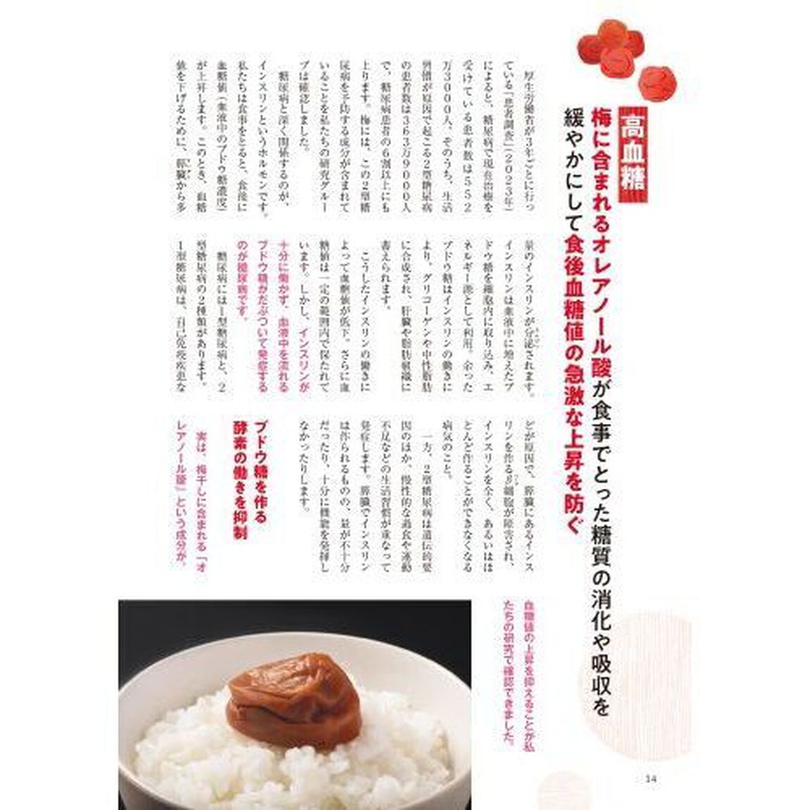 梅・梅干し・梅しごと大学教授が教えるすごい食べ方大全　悩みの不調別梅レシピ最もいい食べ方事典