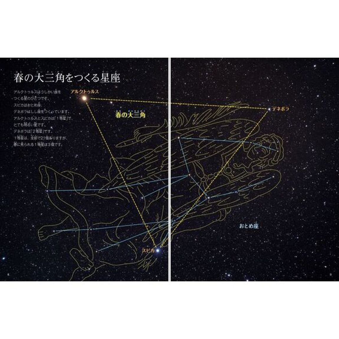 春の星と星座　春の星と星座の動きがわかる