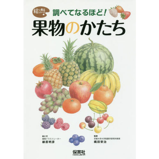 調べてなるほど！果物のかたち