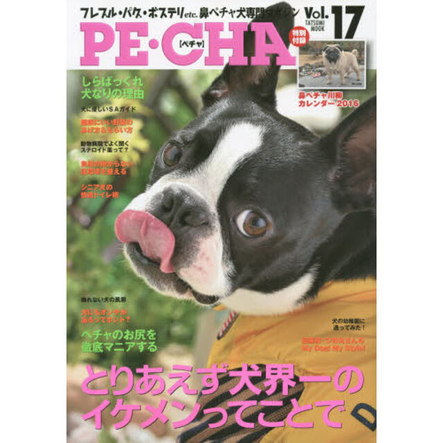 ＰＥ・ＣＨＡ　Ｖｏｌ．１７