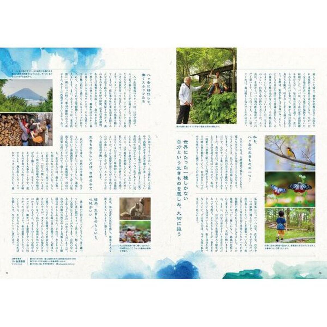 八ヶ岳デイズ　森に遊び、高原に暮らすライフスタイルマガジン　ｖｏｌ．３０（２０２６ＳＰＲＩＮＧ）