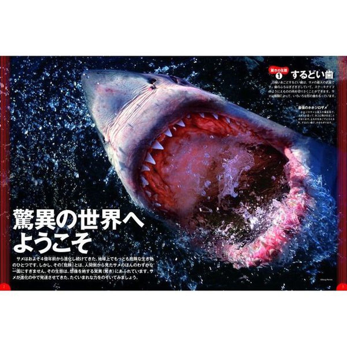 危険生物