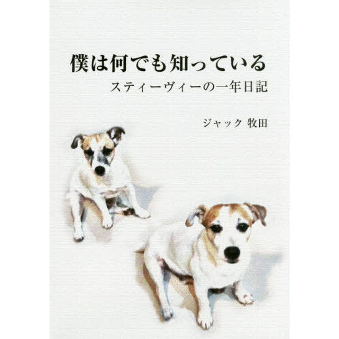 僕は何でも知っている　スティーヴィーの一年日記
