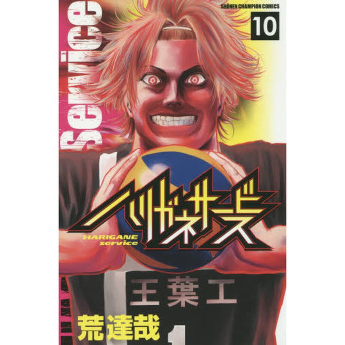 ハリガネサービス　１０