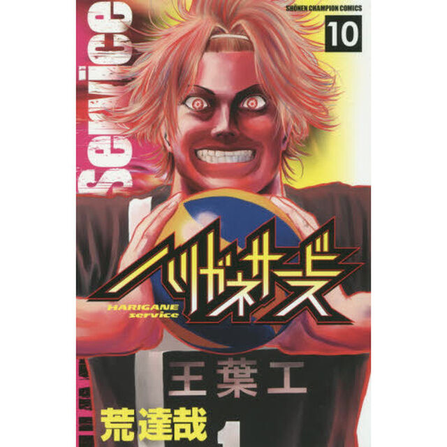 ハリガネサービス　１０