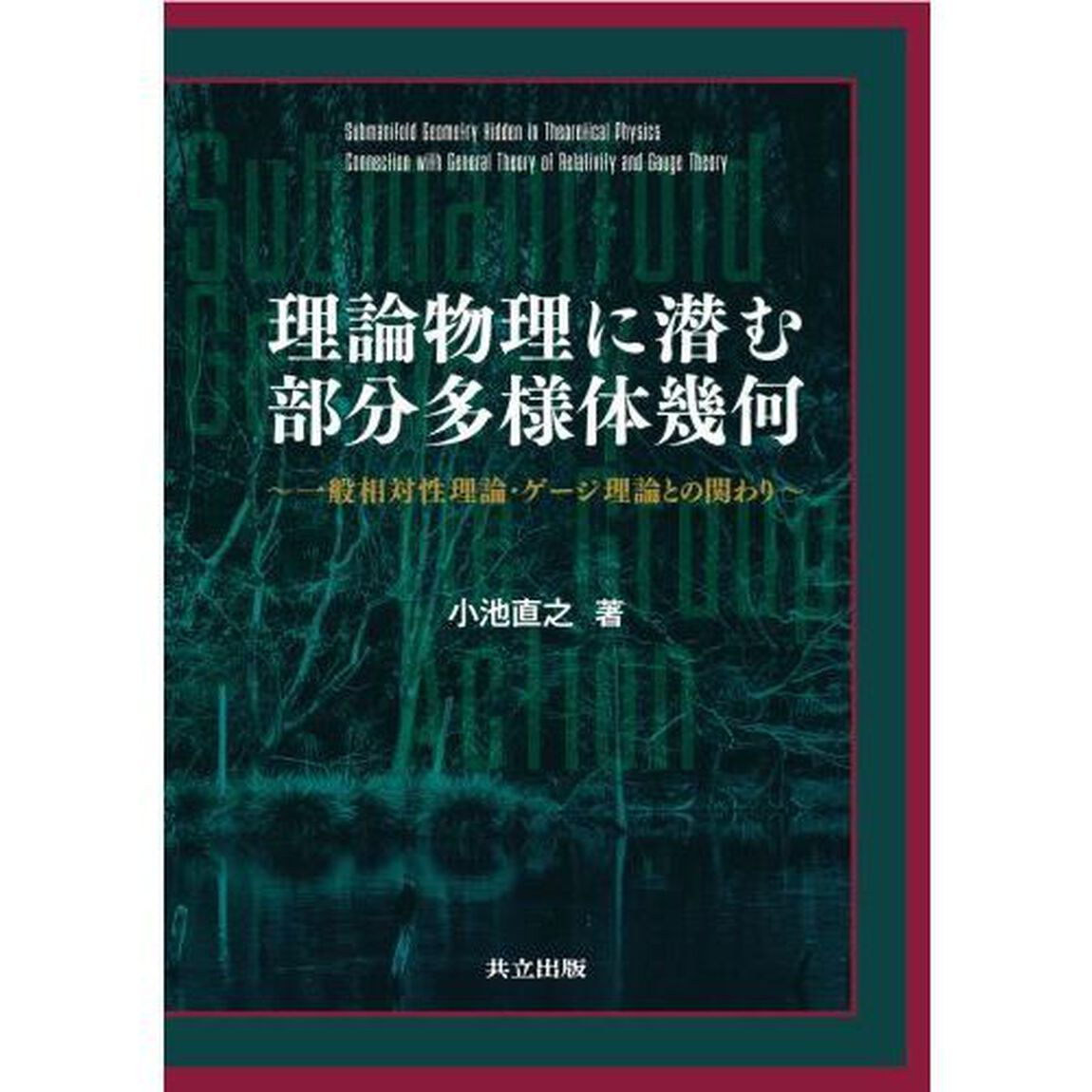 理論物理に潜む部分多様体幾何　一般相対性理論・ゲージ理論との関わり