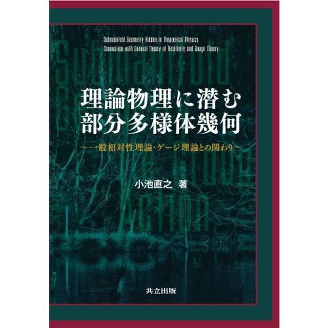 理論物理に潜む部分多様体幾何　一般相対性理論・ゲージ理論との関わり