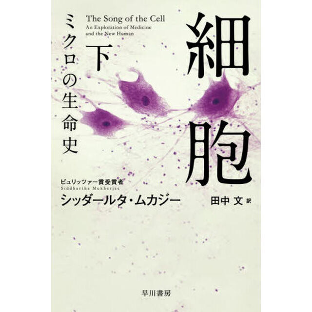 細胞　ミクロの生命史　下