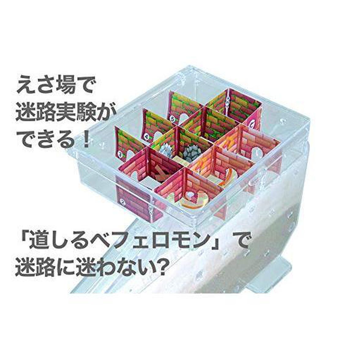 ふしぎの国のアリのすハウス