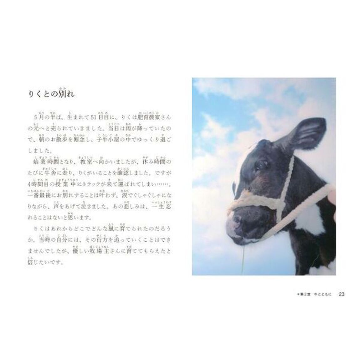牛がおしえてくれたこと