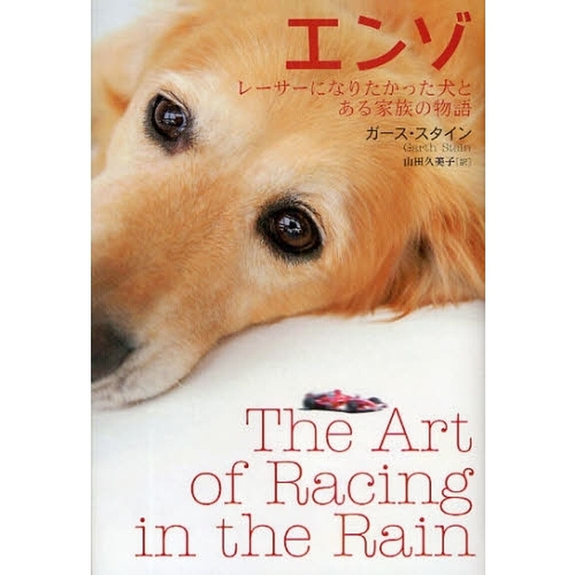 エンゾ　レーサーになりたかった犬とある家族の物語