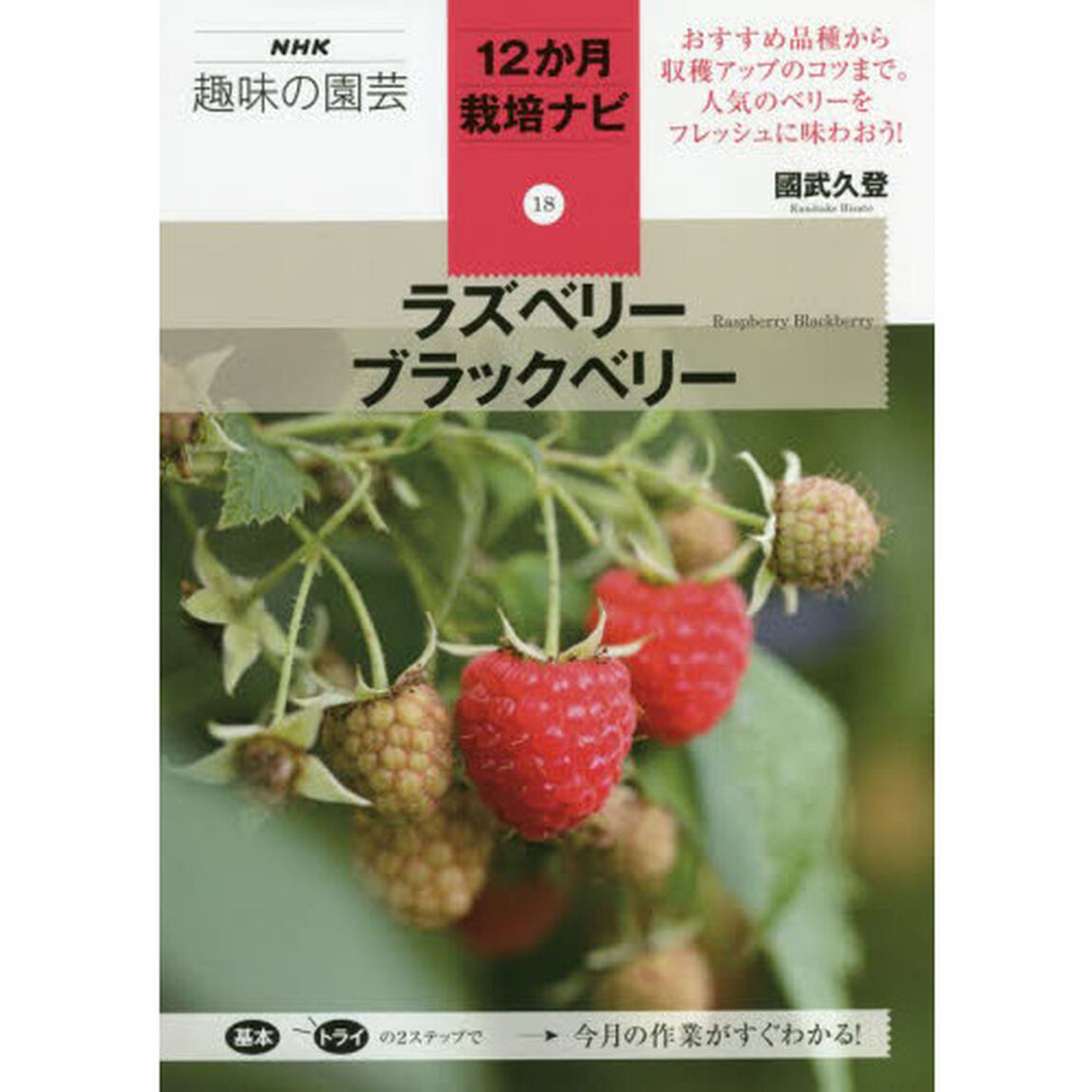 ラズベリー　ブラックベリー