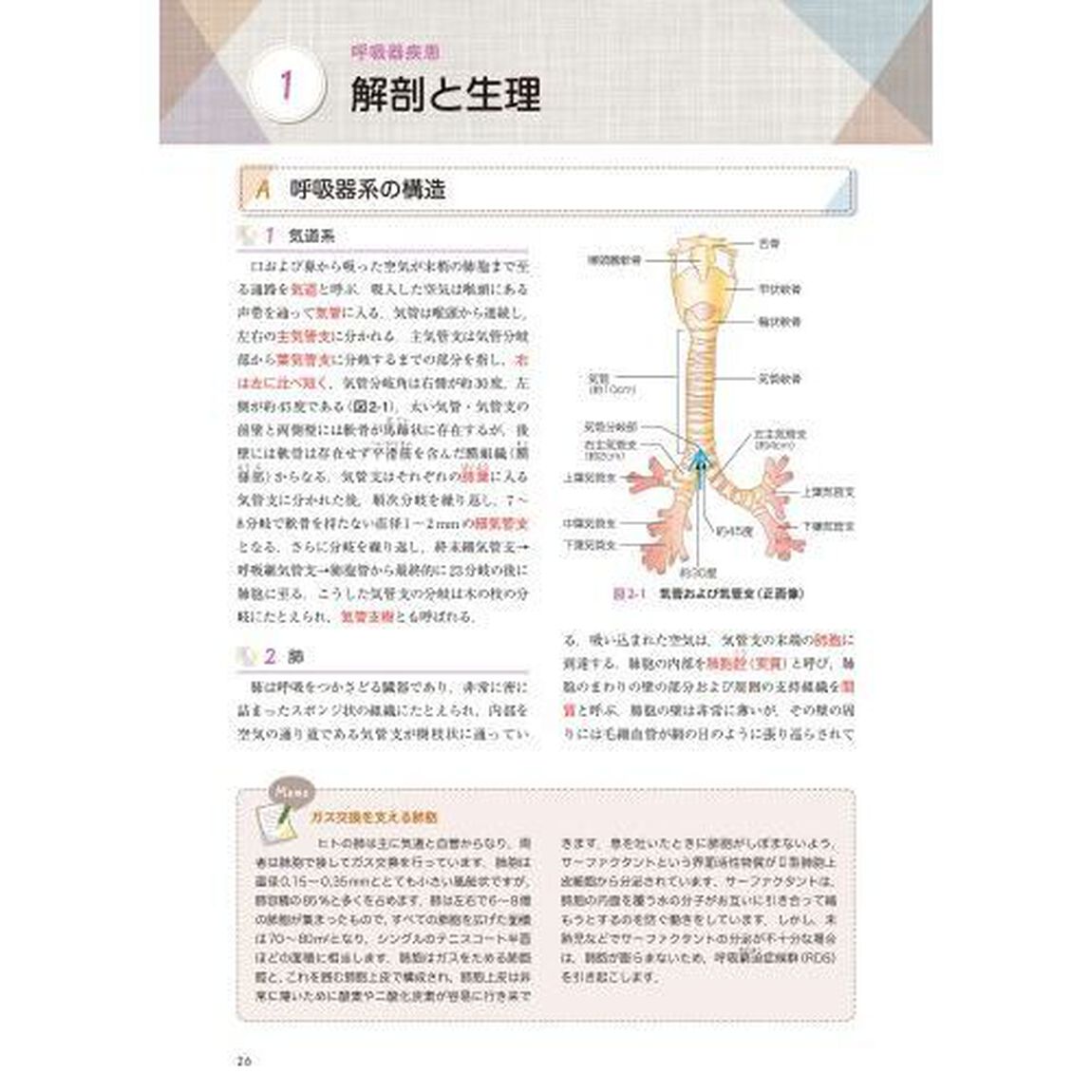 なるほどなっとく！内科学「改訂３版」