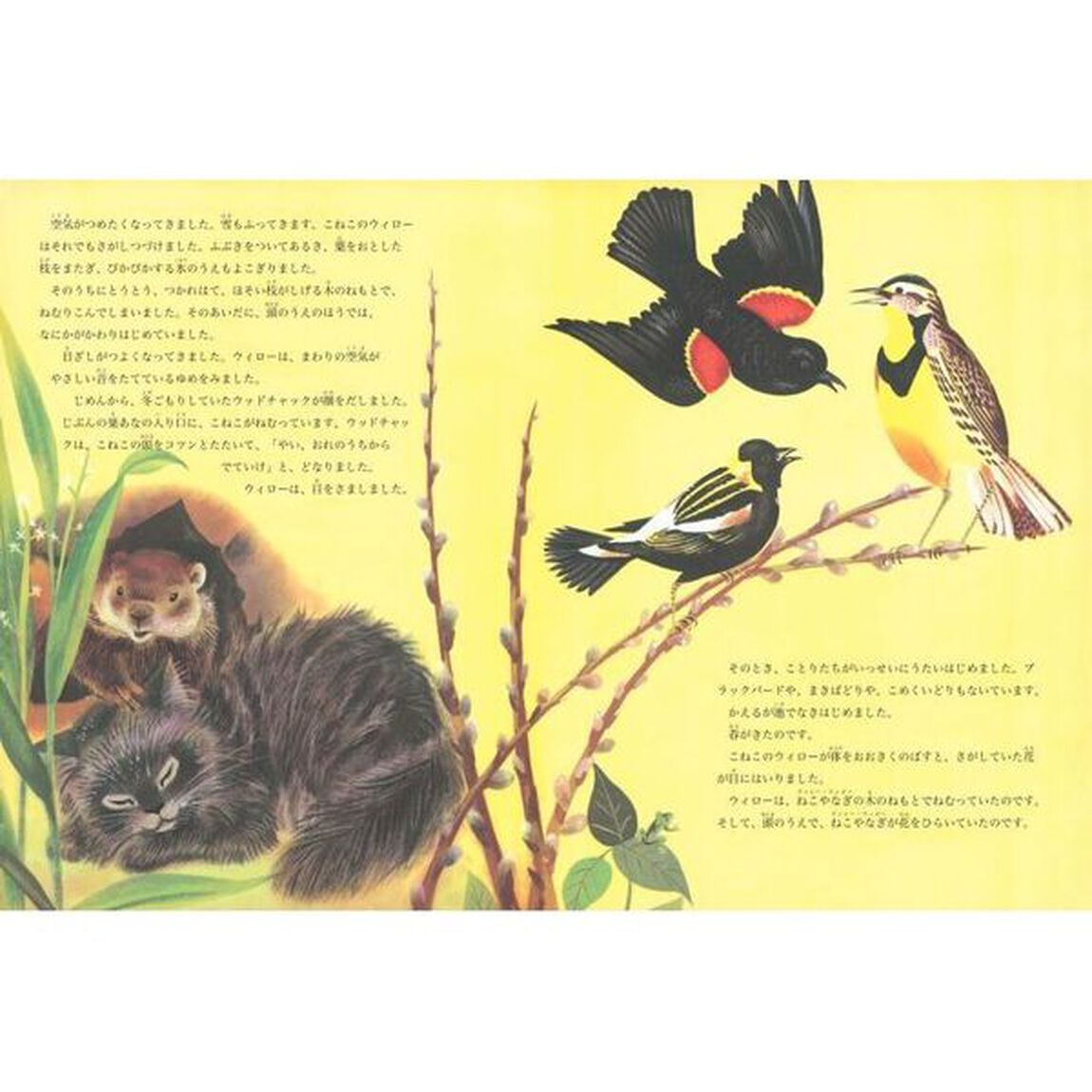 こねこのさがしもの