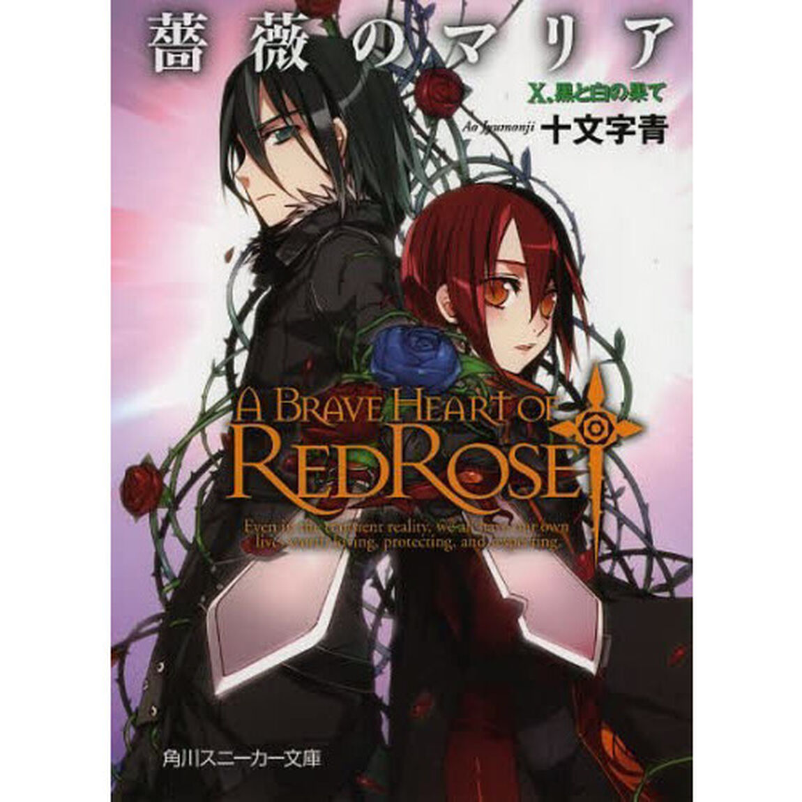 薔薇のマリア　　１０　黒と白の果て