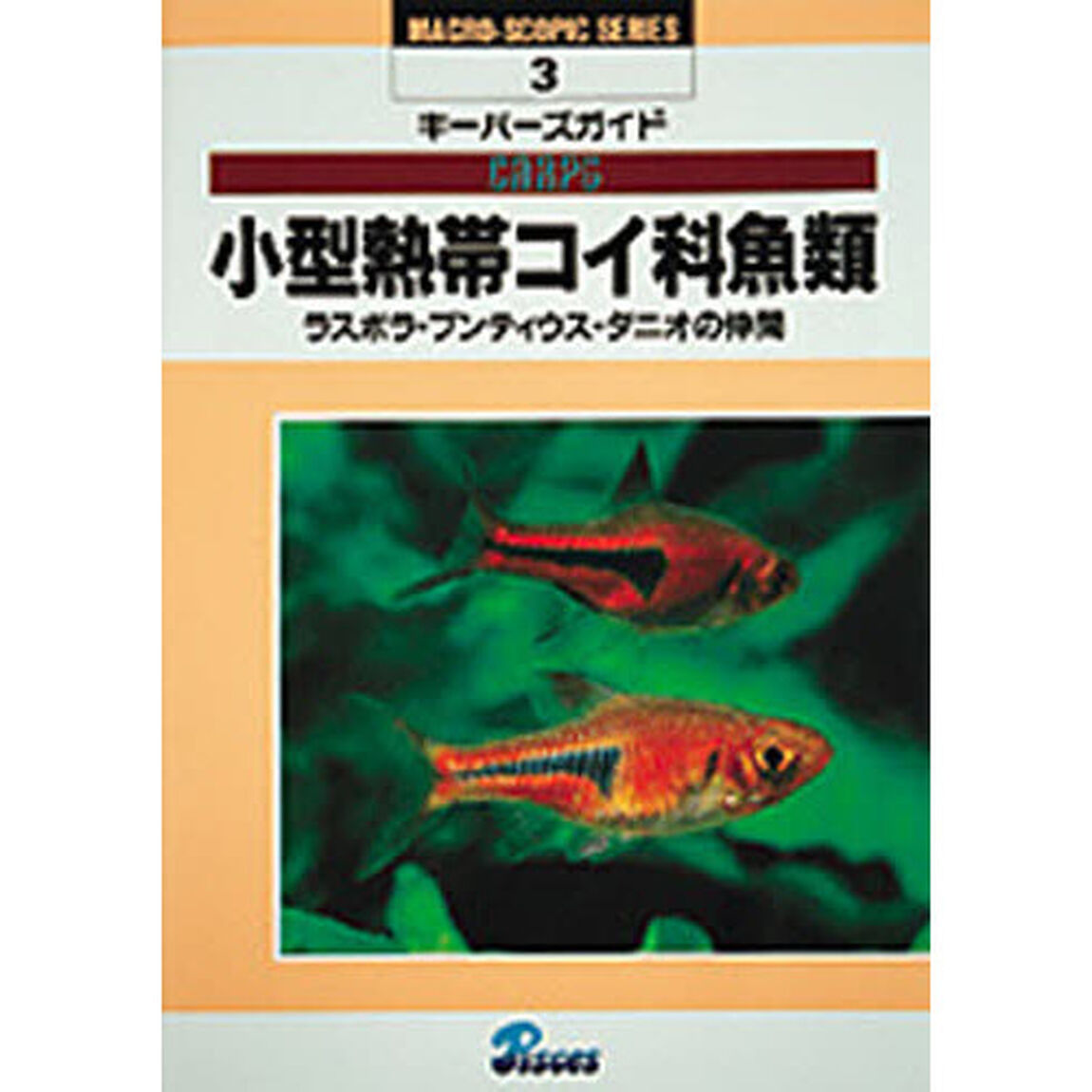 小型熱帯コイ科魚類　ラスボラ・プンティウス・ダニオの仲間