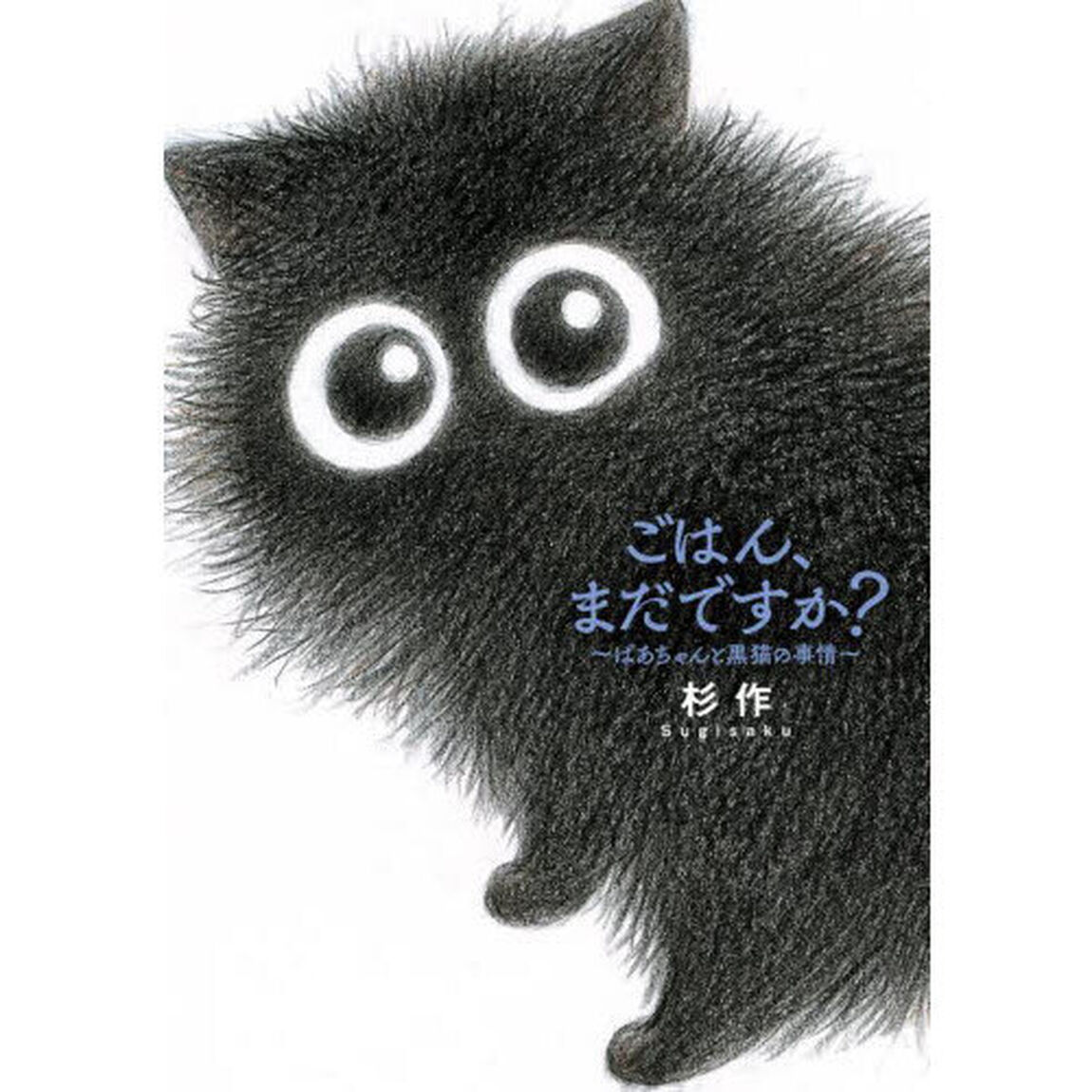ごはん、まだですか？　ばあちゃんと黒猫の事情