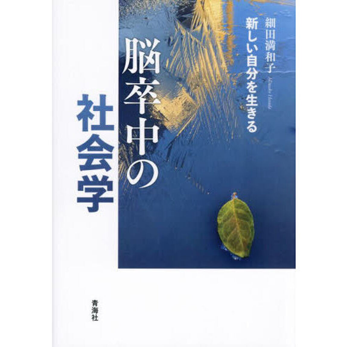 脳卒中の社会学　新しい自分を生きる