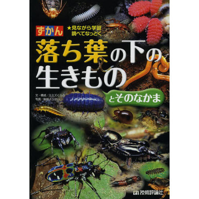 ずかん落ち葉の下の生きものとそのなかま　見ながら学習調べてなっとく
