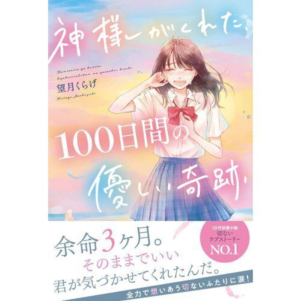 神様がくれた、１００日間の優しい奇跡