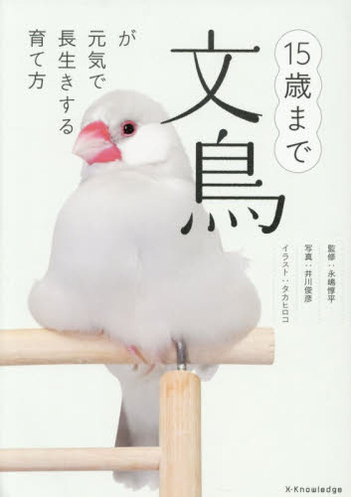 １５歳まで文鳥が元気で長生きする育て方